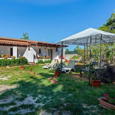 Apartments Elita Rovinj Zewnętrze zdjęcie
